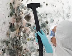 Environmental Consulting for Mold Prevention in Clearfield, PA